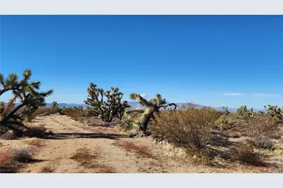 166 S Cattle Crossing Road, Yucca, AZ 86438 - Photo 21