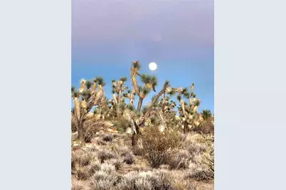 166 S Cattle Crossing Road, Yucca, AZ 86438 - Photo 9