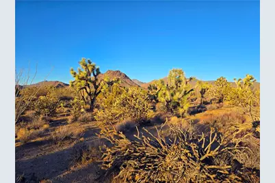 2886 S Cattle Crossing Road, Yucca, AZ 86438 - Photo 11