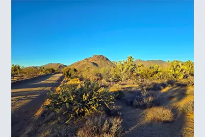 2886 S Cattle Crossing Road, Yucca, AZ 86438 - Photo 1