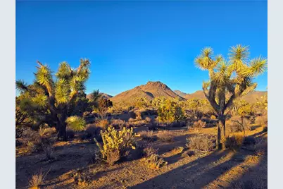 2886 S Cattle Crossing Road, Yucca, AZ 86438 - Photo 15