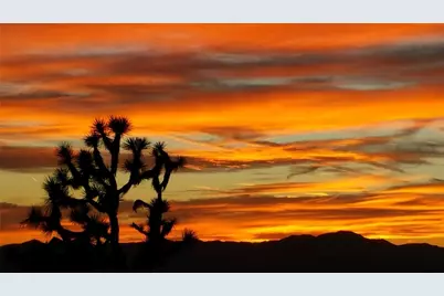 2886 S Cattle Crossing Road, Yucca, AZ 86438 - Photo 33