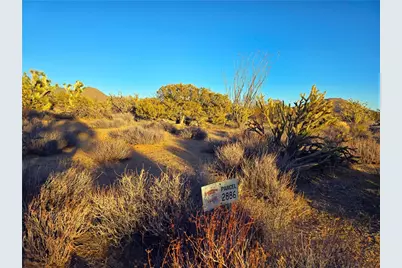 2886 S Cattle Crossing Road, Yucca, AZ 86438 - Photo 3