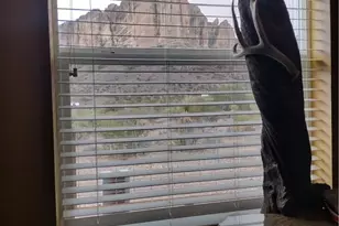 1886 S Ganado Rd, Golden Valley, AZ 86413 - Photo 33