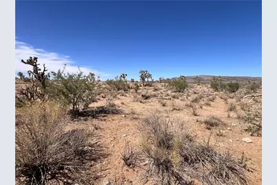 Tbd N Rose Drive, Dolan Springs, AZ 86441 - Photo 1