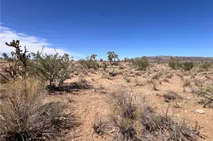 Tbd N Rose Dr, Dolan Springs, AZ 86441 - Photo 1