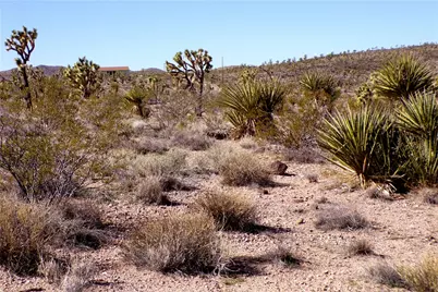 Lot 2 N Mt Tipton Drive, Dolan Springs, AZ 86441 - Photo 27