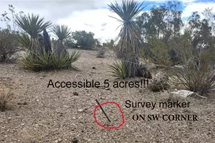 11353 N Quintana Rd, Dolan Springs, AZ 86441 - Photo 1
