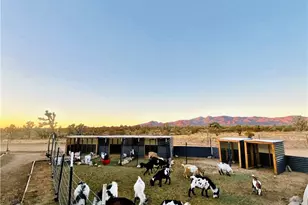 21038 S Cheyenne Rd, Yucca, AZ 86438 - Photo 71