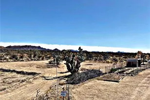21038 S Cheyenne Rd, Yucca, AZ 86438 - Photo 83