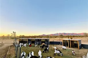 21038 S Cheyenne Rd, Yucca, AZ 86438 - Photo 71