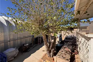 4517 N N Thurman Dr Dr, Golden Valley, AZ 86413 - Photo 33