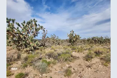 26601 N Bullhead Road, Meadview, AZ 86444 - Photo 3