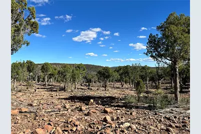 Lot 161 E Jackalope Way, Kingman, AZ 86401 - Photo 33