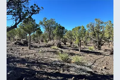 Lot 161 E Jackalope Way, Kingman, AZ 86401 - Photo 13