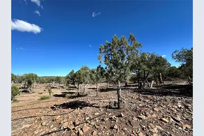 Lot 161 E Jackalope Way, Kingman, AZ 86401 - Photo 19