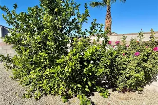 3375 Amanda Ave, Kingman, AZ 86401 - Photo 43