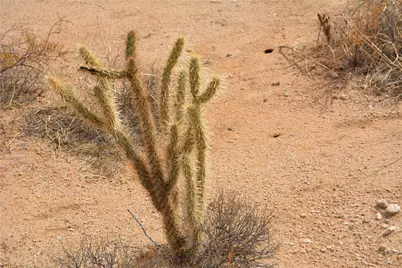 3271 S Arlington Road #3271, Yucca, AZ 86438 - Photo 57