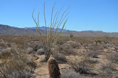 3271 S Arlington Road #3271, Yucca, AZ 86438 - Photo 9