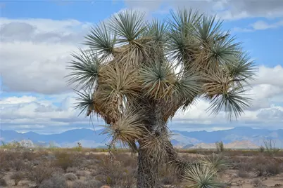 3271 S Arlington Road #3271, Yucca, AZ 86438 - Photo 15