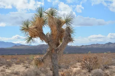 3271 S Arlington Road #3271, Yucca, AZ 86438 - Photo 7