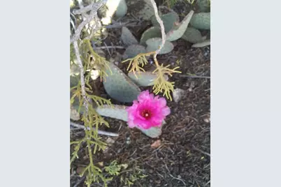 0 E Austin Loop, Kingman, AZ 86401 - Photo 13