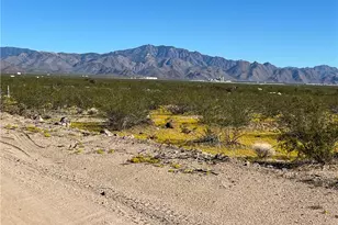 4233 W Mayan Dr, Golden Valley, AZ 86413 - Photo 79