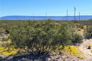 4233 W Mayan Dr, Golden Valley, AZ 86413 - Photo 75