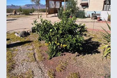 4233 W Mayan Drive, Golden Valley, AZ 86413 - Photo 53