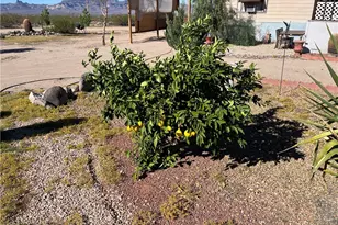 4233 W Mayan Dr, Golden Valley, AZ 86413 - Photo 53