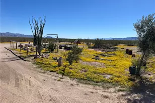 4233 W Mayan Dr, Golden Valley, AZ 86413 - Photo 65