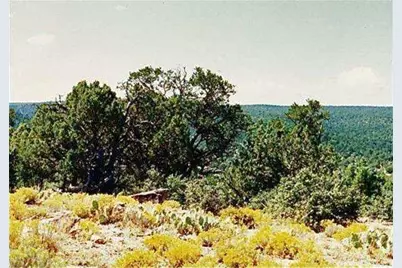 40Ac 314-54-009, Peach Springs, AZ 86434 - Photo 3