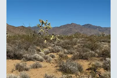 24203004 S Sundance Kid Rd Road, Yucca, AZ 86438 - Photo 17