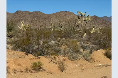 24203004 S Sundance Kid Rd Road, Yucca, AZ 86438 - Photo 1