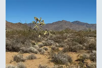 24203004 S Sundance Kid Rd Road, Yucca, AZ 86438 - Photo 17