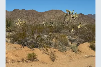 24203004 S Sundance Kid Rd Road, Yucca, AZ 86438 - Photo 1