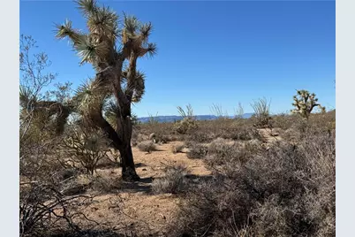 24212013 E Sundance Kid Rd, Yucca, AZ 86438 - Photo 7
