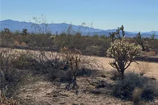 242-12-015 S Sundance Kid Rd, Yucca, AZ 86438 - Photo 1