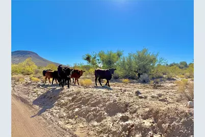 1606 N Friendship Pass, Kingman, AZ 86401 - Photo 61