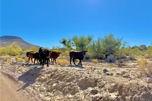1606 N Friendship Pass, Kingman, AZ 86401 - Photo 61