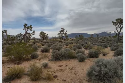 27402 N Peach Drive, Meadview, AZ 86444 - Photo 3