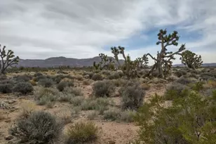 27402 N Peach Dr, Meadview, AZ 86444 - Photo 1