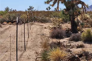 14176 S Nash Rd, Yucca, AZ 86438 - Photo 21