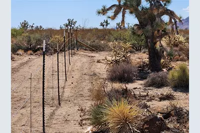 14176 S Nash Road, Yucca, AZ 86438 - Photo 25