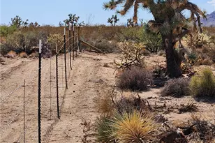 14176 S Nash Rd, Yucca, AZ 86438 - Photo 21