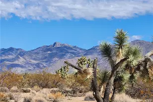 14176 S Nash Rd, Yucca, AZ 86438 - Photo 37