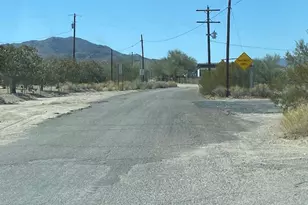 18013 Cholla Chuck Dr, Wikieup, AZ 85360 - Photo 51