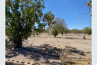 18013 Cholla Chuck Drive, Wikieup, AZ 85360 - Photo 53