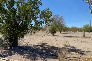 18013 Cholla Chuck Dr, Wikieup, AZ 85360 - Photo 53