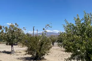 18013 Cholla Chuck Dr, Wikieup, AZ 85360 - Photo 49